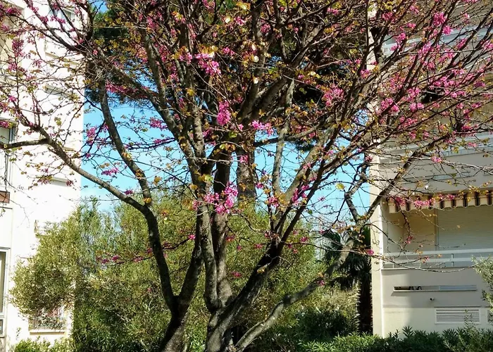 Résidence Les Jardins De La Appartamento